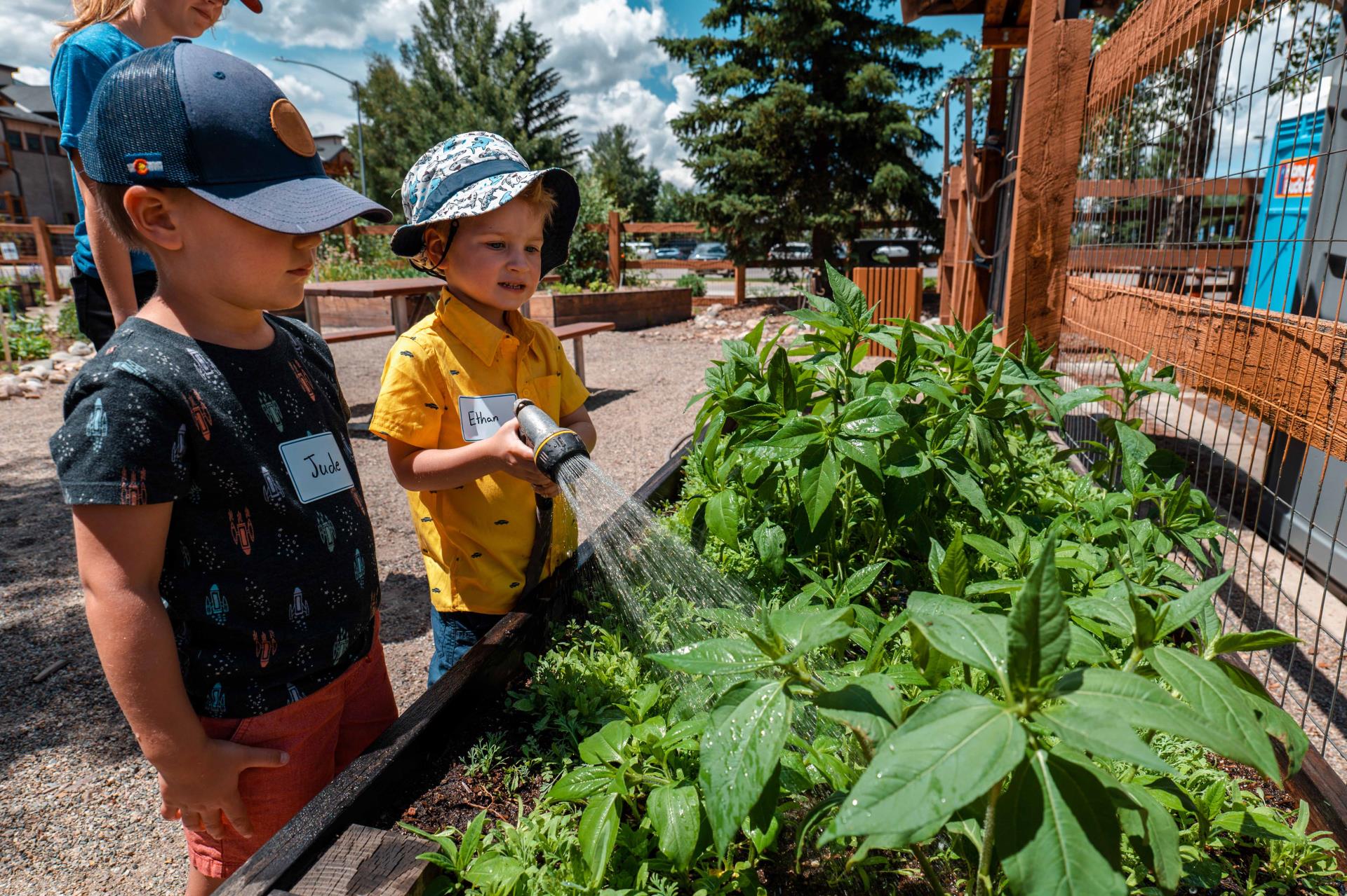 little boys watering in Silvana's Garden