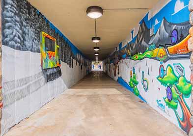 AGPNT and Pher01 Underpass Mural