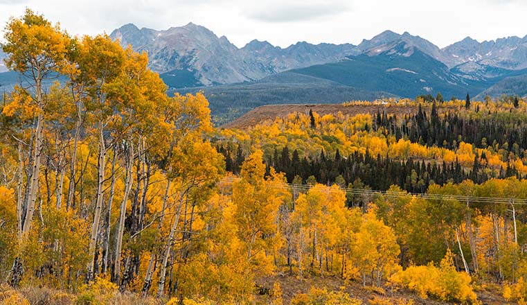 fall leaves and mountains in silverthorne