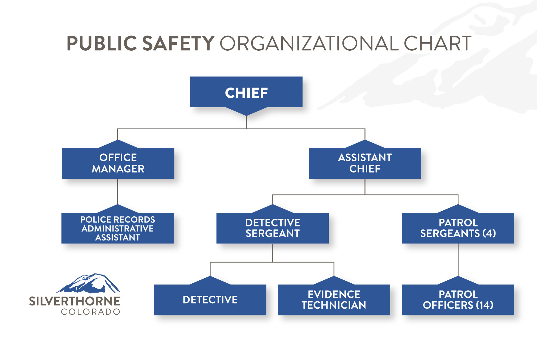 police department org chart